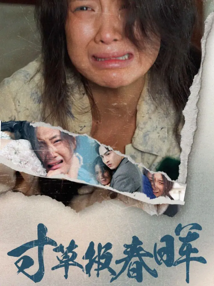 《寸草报春晖》：催泪！母爱如山，看哭了无数人的中国式亲情史诗