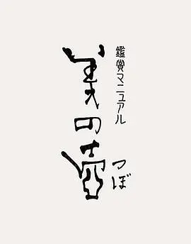 《美之壶》：解码东方审美密码，从古典雅韵到现代潮流的艺术之旅